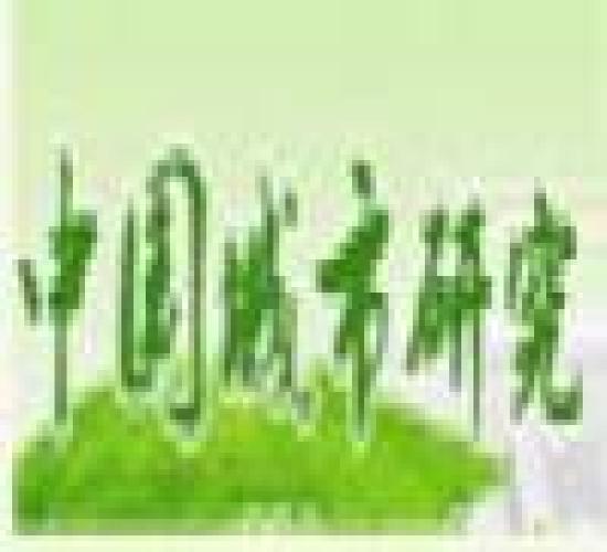 中国城市研究